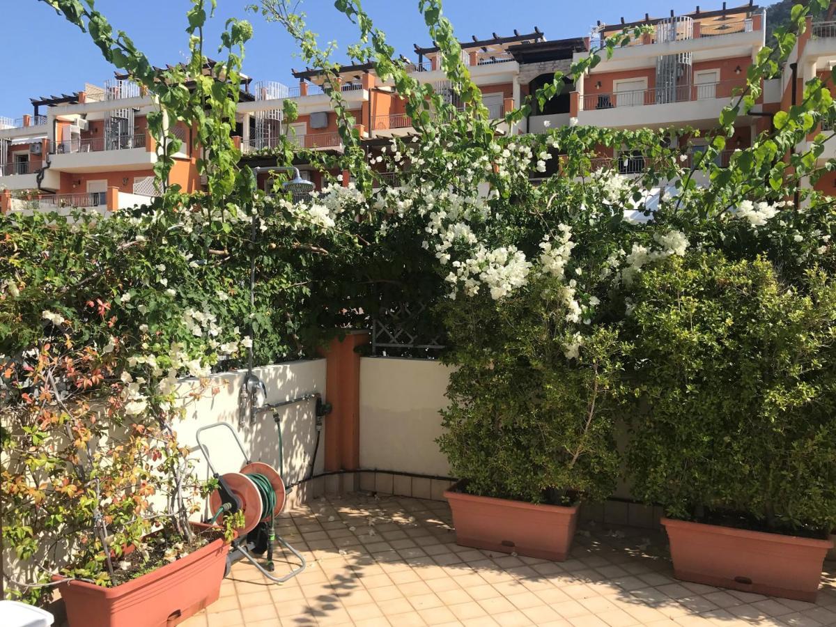Casa Norvegese Apartamento Pizzo  Exterior foto